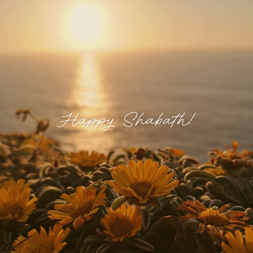 Happy Shabath!