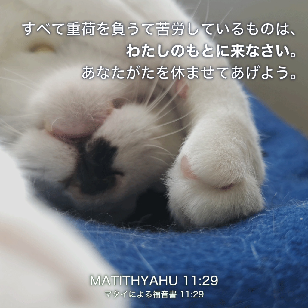 MATITHYAHU(マタイによる福音書)11章29章：すべて重荷を負うて苦労しているものは、わたしのもとに来なさい。あなたがたを休ませてあげよう。