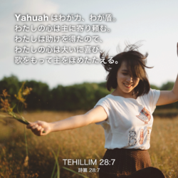 TEHILLIM(詩篇)28章7節：Yahuahはわが力、わが盾。わたしの心は主に寄り頼む。わたしは助けを得たので、わたしの心は大いに喜び、歌をもって主をほめたたえる。