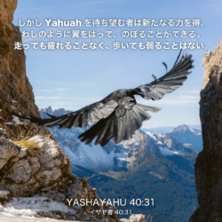 YASHAYAHU(イザヤ書)40章31節：しかしYahuahを待ち望む者は新たなる力を得、わしのように翼をはって、のぼることができる。走っても疲れることなく、歩いても弱ることはない。