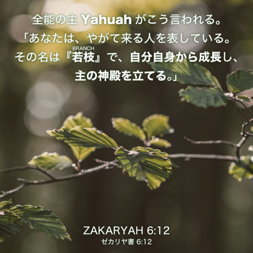 ZAKARYAH(ゼカリヤ書)6章12節：全能の主Yahuahがこう言われる。「あなたは、やがて来る人を表している。その名は『若枝(BRANCH)』で、自分自身から成長し、主の神殿を立てる。」
