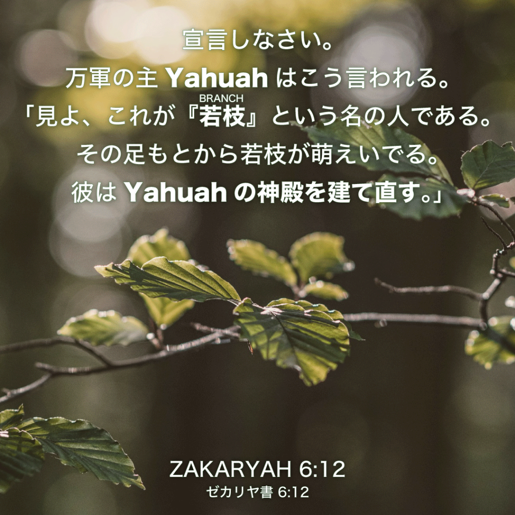 ZAKARYAH(ゼカリヤ書)6章12節：宣言しなさい。万軍の主Yahuahはこう言われる。「見よ、これが『若枝(BRANCH)』という名の人である。その足もとから若枝が萌えいでる。彼はYahuahの神殿を建て直す。」