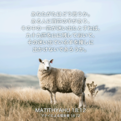 MATITHYAHU(マタイによる福音書)18章12節：あなたがたはどう思うか。ある人に百匹の羊があり、その中の一匹が迷い出たとすれば、九十九匹を山に残しておいて、その迷い出ている羊を捜しに出かけないであろうか。