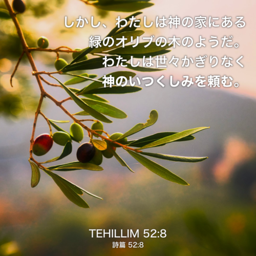 TEHILLIM(詩篇) 52章8節：しかし、わたしは神の家にある緑のオリブの木のようだ。わたしは世々かぎりなく神のいつくしみを頼む。