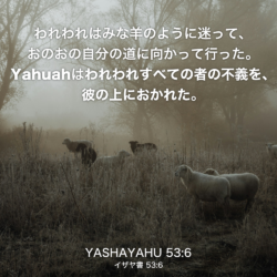 YASHAYAHU(イザヤ書) 53章6節：われわれはみな羊のように迷って、おのおの自分の道に向かって行った。Yahuahはわれわれすべての者の不義を、彼の上におかれた。